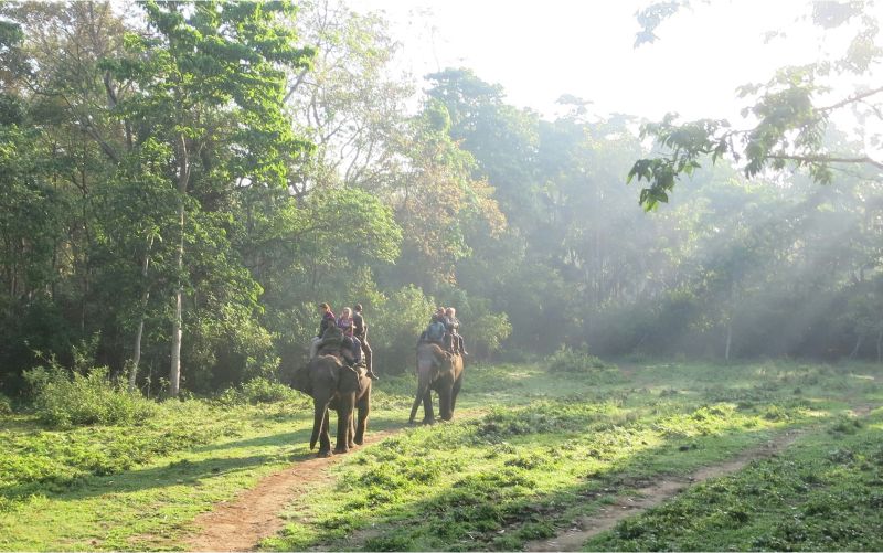 Chitwan Nepal